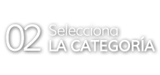02.Selecciona la categoría